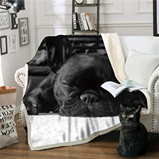 Plaid Bouledogue Français